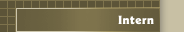 Intern